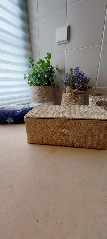 Apartament Zise Flor-De-Lis Conceição Zewnętrze zdjęcie